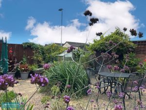 Garden- click for photo gallery
